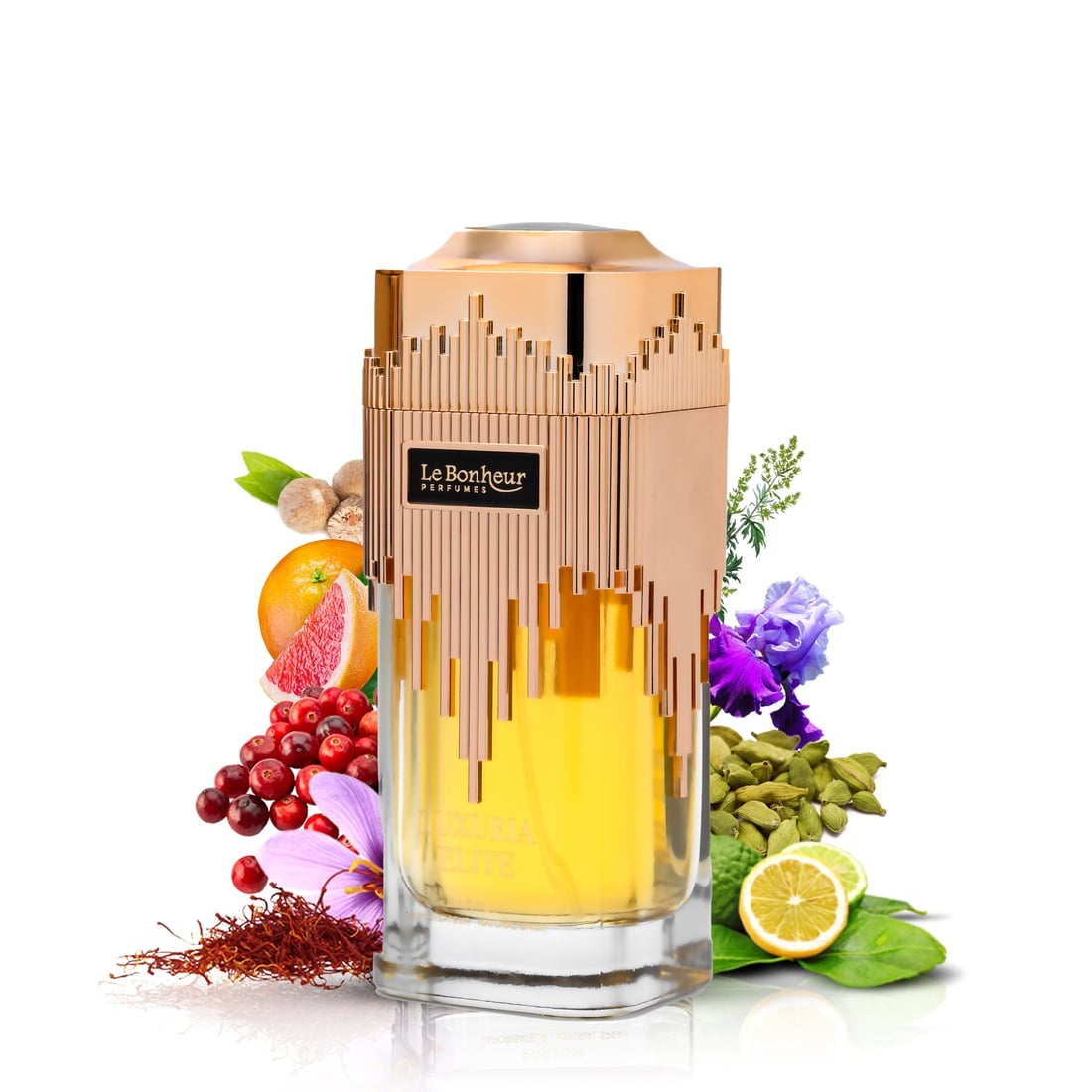 Le Bonheur LUXURIA ELITE Perfume Eau De Parfum 100ml