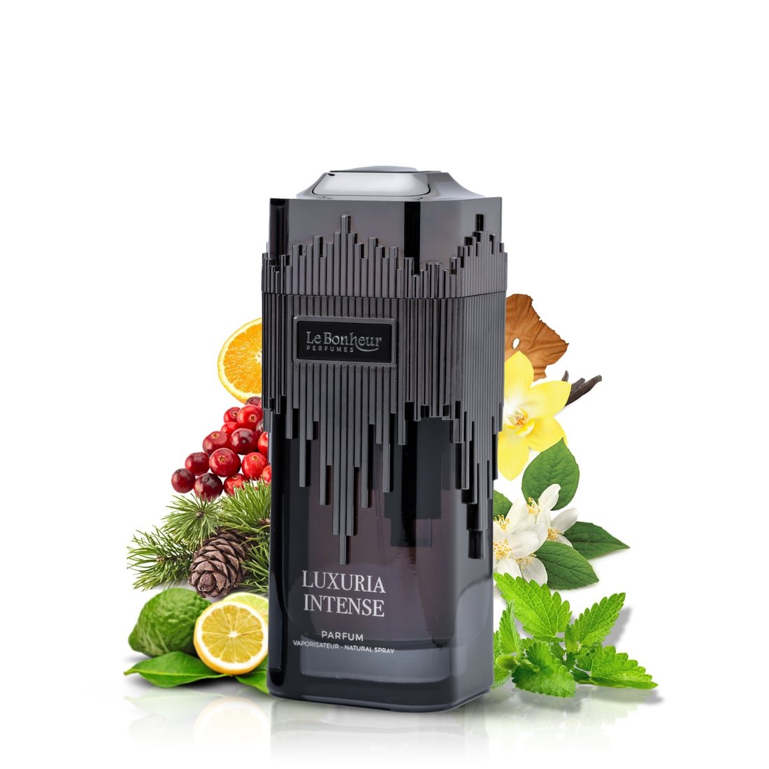 Le Bonheur Luxuria Intense Eau de Parfum für Herren 100 ml | Langanhaltendes Premium-Luxusparfum | Frischer, würziger & holziger Duft mit Noten von Zedernholz, Leder & Vetiver | Luxuriöses Geschenk für Männer